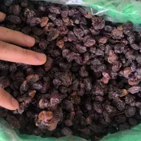 کشمش مویز بش دشمن زیاری