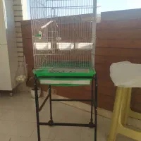 قفس طوطی .پایه قفس