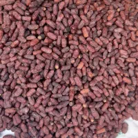 خرما پیارم درجه یک کیلویی ۴۵۰ درجه دو کیلویی ۲۰۰|عمده‌فروشی|سیرجان, |دیوار
