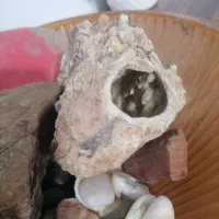 سنگ