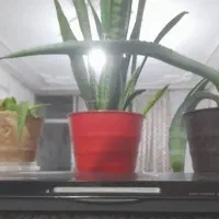 دی وی دی ودستگاه گیرنده