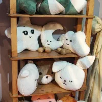 انواع کوسن فانتزی