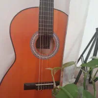 گیتار آنتنیو سِزار|گیتار، بیس، امپلیفایر|نجف‌آباد, فیروزآباد|دیوار