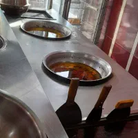 سرخکن چندکاره سفارشی فست فود