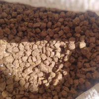غذای گربه