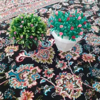 دو عدد گل زیبا