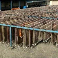 مشتاق قالیشویی