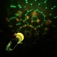 رقص نور شارژی|ریسه و چراغ تزئینی|سبزوار, طبرسی (جعفرآباد)|دیوار