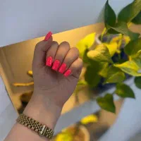 افر ویژه لاین ناخن و  خدمات پدیکور  ترمیم 200|خدمات آرایشگری و زیبایی|محمودآباد, |دیوار