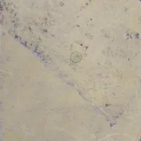 میز پلاستیکی|میز و صندلی غذاخوری|قائم‌شهر, |دیوار