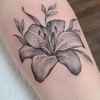 مدل تاتو|استخدام درمانی، زیبایی، بهداشتی|تهران, هوانیروز|دیوار