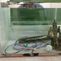 آکواریوم فوق العاده تمیز وباتمام وسایل