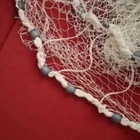 تورماهیگیری یا سالیک|ماهیگیری|تهران, امام زاده عبدالله|دیوار