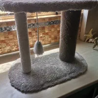 وسایل گربه