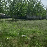 ۲۵۰ متر زمین باغی داخل طرح هادی، بر آسفالت|فروش زمین و ملک کلنگی|صومعه‌سرا, |دیوار