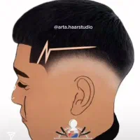 آرایشگر وارد یا نیمه وارد