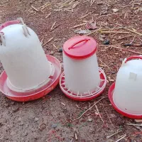 آبخوری دانخوری