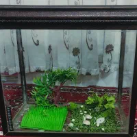 آکواریوم زیبا