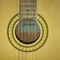 فروش گیتار|گیتار، بیس، امپلیفایر|بروجن, |دیوار