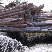 قالیشویی دماوند (تمام مناطق شهر)قالی شویی مکانیزه