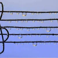 تدریس پیانوآواز گیتاراستاد خانم از دانشگاه تهران