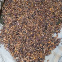 غذای دام /کنگه /کیلو ۱۵۰۰۰تومان