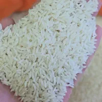 برنج ایرانی/برنج هاشمی/برنج گیلان