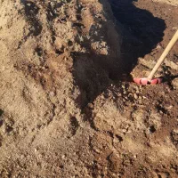 کود‌حیوانی‌گاوی|گل و گیاه طبیعی|گمیشان, |دیوار