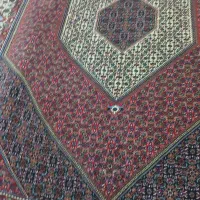 جفت فرش ۶متری خامه نساجی نو|فرش|زنجان, |دیوار