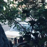 ماشین عروس|خودرو اجارهای|بابل, |دیوار