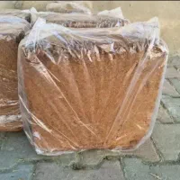 کوکوپیت  اصل سریلانکا