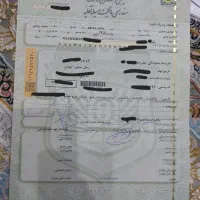 دنا پلاس آپشنال