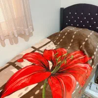 تخت خواب یک نفره