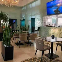 میزو صندلی ناهارخوری ساحل7423