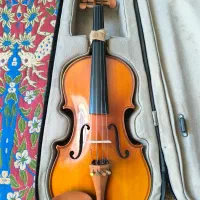 معلم خصوصی ویلن