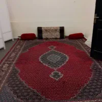 اجاره واحد۴۰متری در عاشوری|اجارهٔ آپارتمان|بوشهر, |دیوار