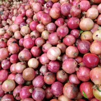 رب و به|خوردنی و آشامیدنی|سیدان, |دیوار