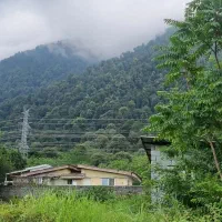 فروش-زمینای-جنگل-جلگه-ایه-سالم-سند-دار-قابل-ساخت