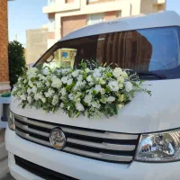 ماشین عروس و مهمونی