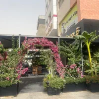 چهار دیواری مدرس