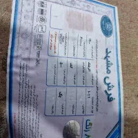 فرش 12متری|فرش|مشهد, شهید معقول|دیوار