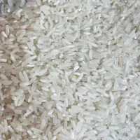 برنج تایلندی تنظیم بازار 1.900