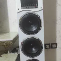 یک جفت باند سفید مارک میکرولب