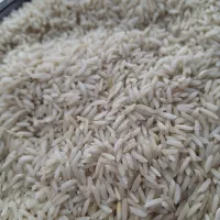 برنج هاشمی درجه یک گیلان|خوردنی و آشامیدنی|تهران, امیرآباد|دیوار