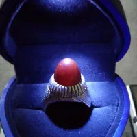 اوزوح قوموش