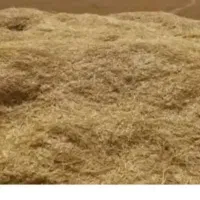 کاه گندم دیم