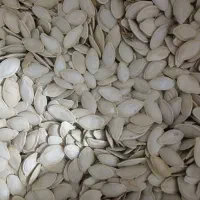 کدوگوشتی|خوردنی و آشامیدنی|باوله, |دیوار