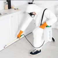 سمپاشی موریانه زدایی سم پاشی سوسک ساس تضمینی اصولی|خدمات نظافت|شاهینشهر, فردوسی|دیوار