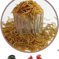 فروش‌کرم‌میل‌ورم