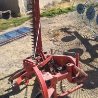 موور تیغه ای ارغوان